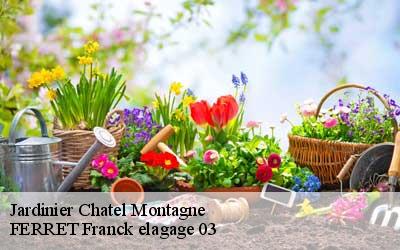 Jardinier chatel-montagne-03250 FERRET Franck elagage 03