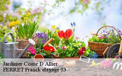 Jardinier  cosne-d-allier-03430 FERRET Franck elagage 03