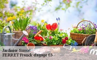 Jardinier  sussat-03450 FERRET Franck elagage 03