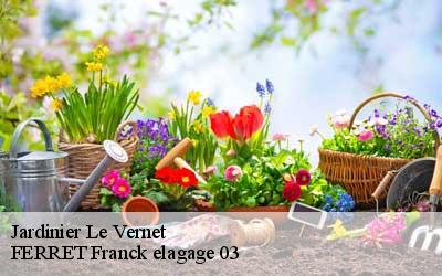 Jardinier  le-vernet-03200 FERRET Franck elagage 03