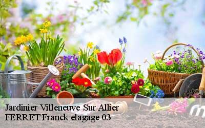 Jardinier  villeneuve-sur-allier-03460 FERRET Franck elagage 03